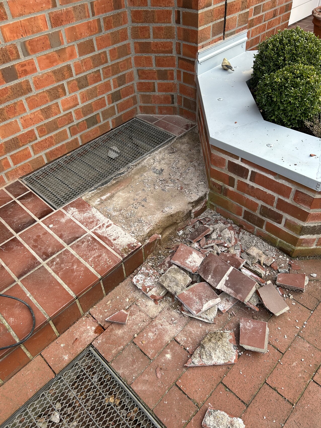 Außenbereich eines roten Backsteinhauses mit beschädigter Stufe, Ziegelbruch und Metallgitter