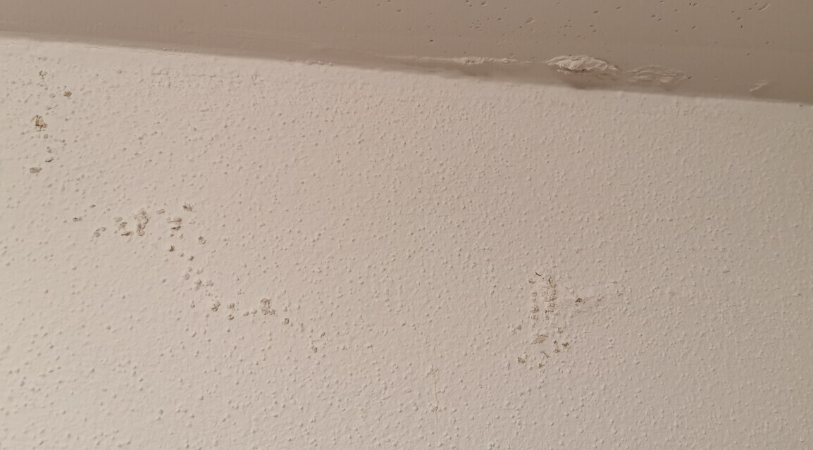 Raues Putzoberfläche an einer Innenwand mit kleinen Löchern und Flecken