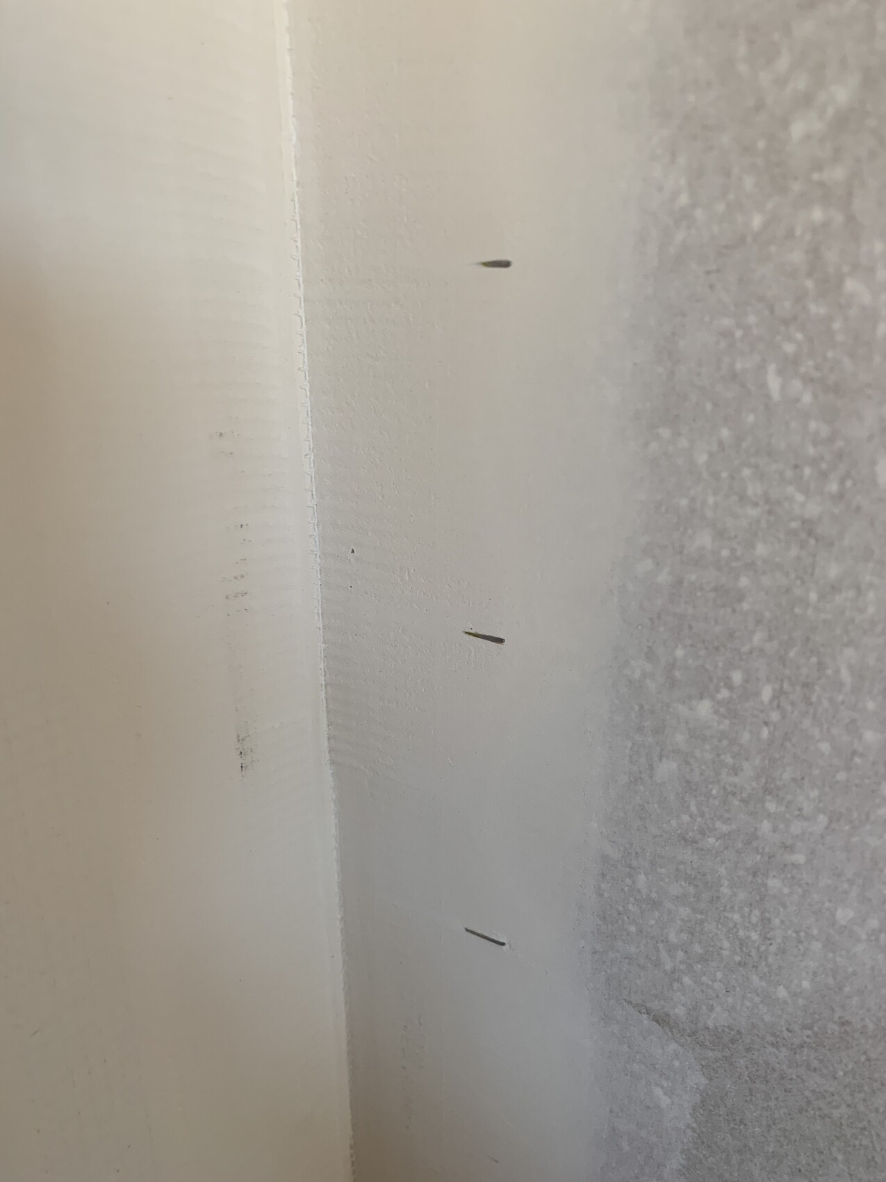 Nahaufnahme einer Innenwand-Ecke mit kleinen Nägeln im Spachtelrand.