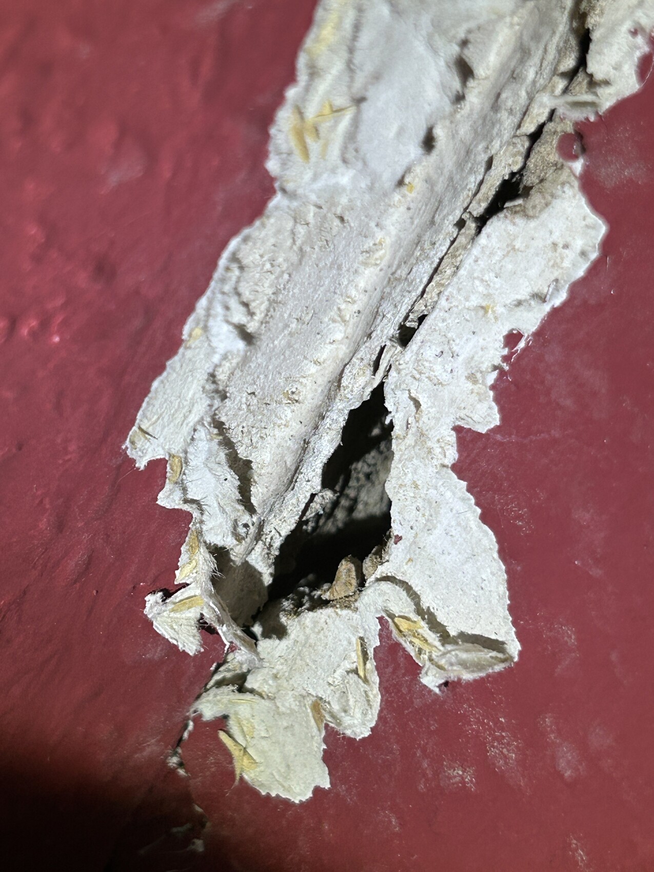 Nahaufnahme beschädigten Wandputzes mit Abplatzungen und Riss an roter Wand.