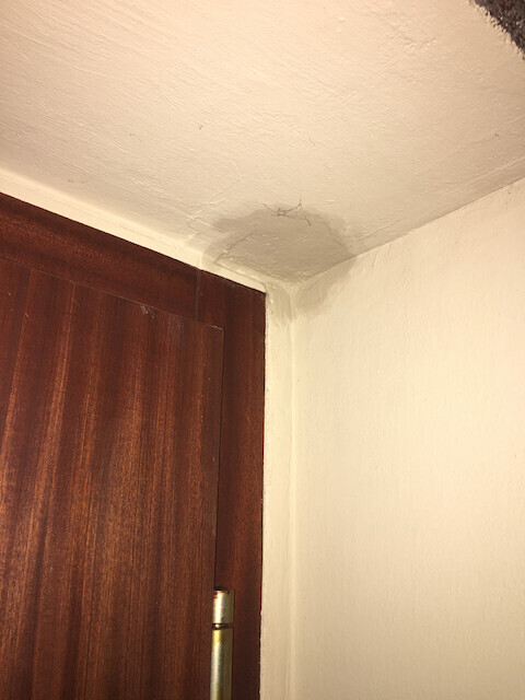 Innenaufnahme einer Zimmerecke mit Holztür; Reparaturstelle im Wandputz nahe der Decke.