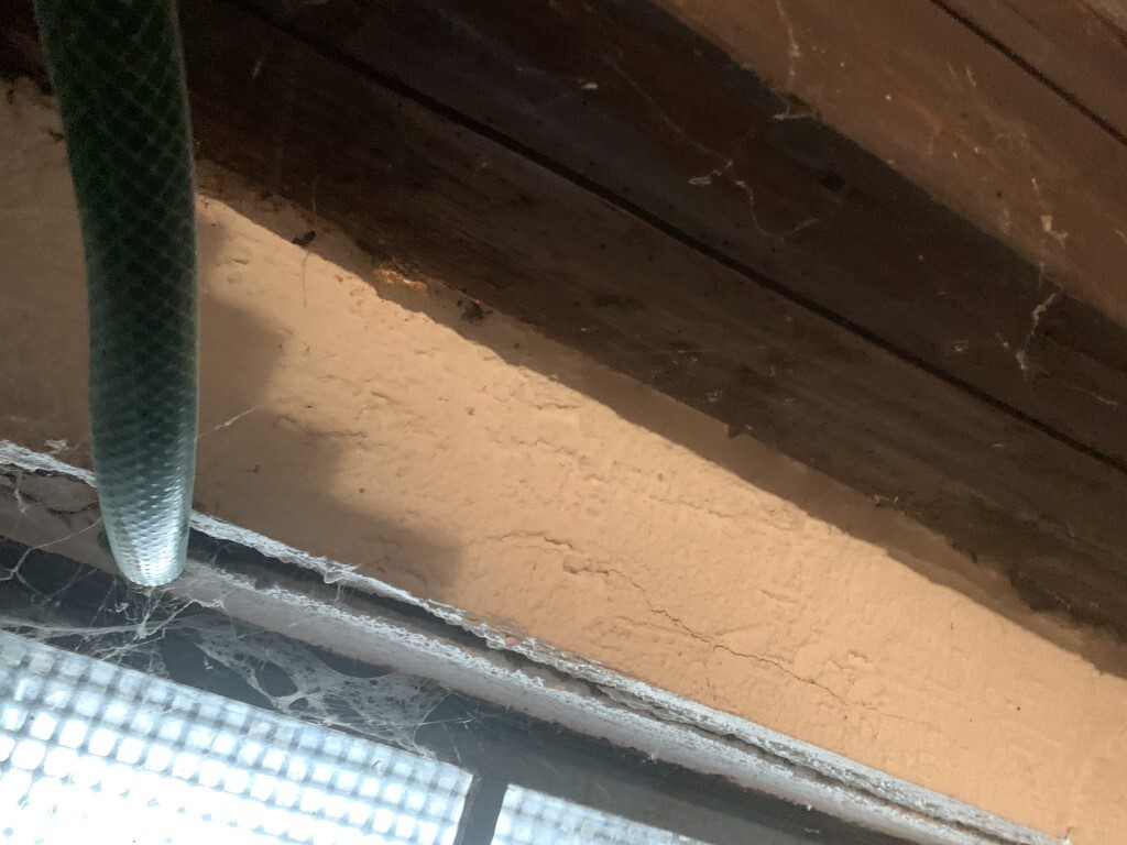 Grüner Schlauch hängt vor bröckelnder Wand unter Holzbalken; Spinnweben.
