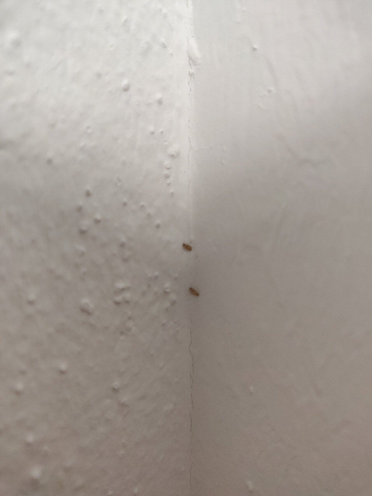 Weiße Wand mit Textur, vertikale Ritze in der Mitte und zwei braune Flecken entlang der Naht.