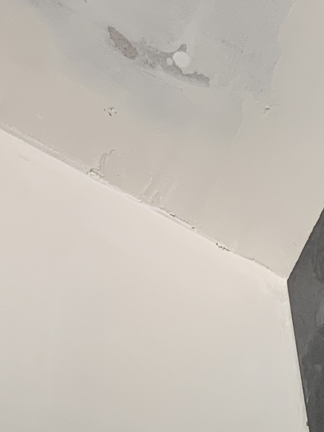 Winkel von Wand und Decke mit abgeplatztem Putz und Putzschäden.