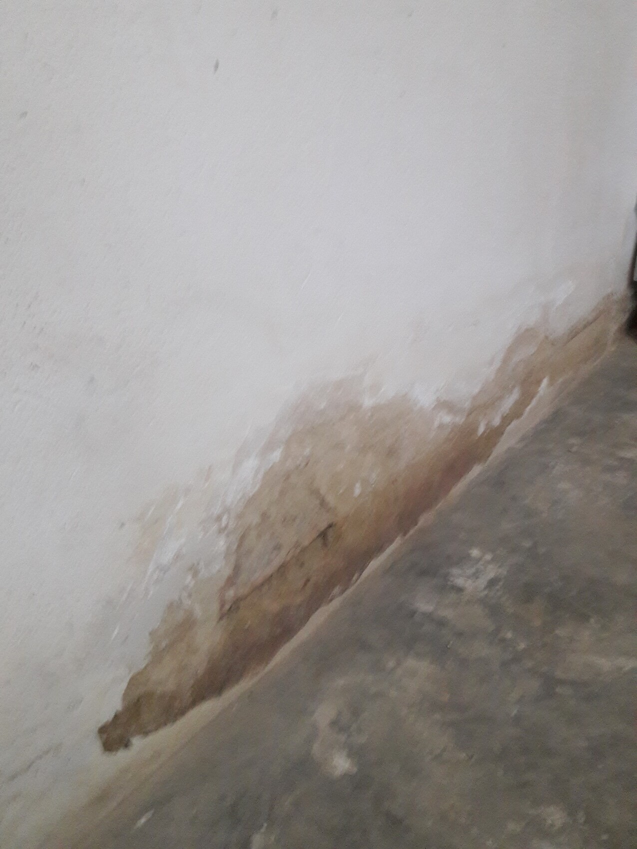 Weiße Wand mit bröckeligem Putz am unteren Rand über braunem Boden.