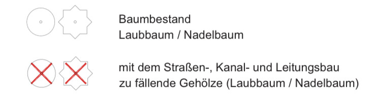 Oben: Baumbestand Laub- oder Nadelbaum; unten: zu fällende Gehölze durch Bauarbeiten.