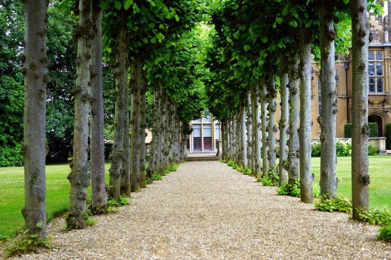 Kiesweg, von symmetrischen Baumreihen flankiert, führt zu einer historischen Gebäudefassade.