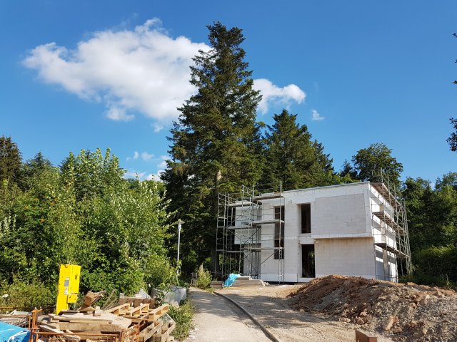 baumhoehe-auf-privatgrundstuecken-in-verordnungen-geregelt-279831-1.jpg