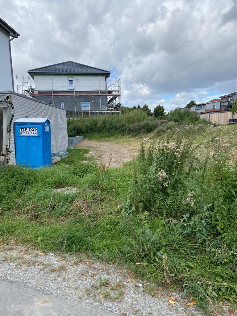 Neubau mit Gerüst, blaue Bau-Toilette, überwucherndes Gras vor Baustelle