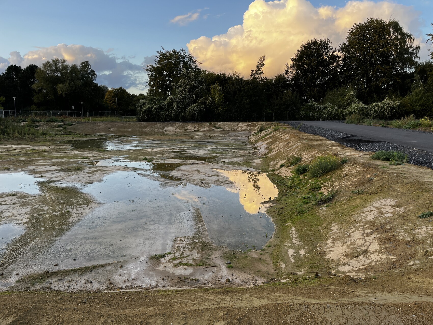 Ausgetrockneter Seeboden mit Pfützen, Wolkenreflexionen, Kiesweg und Bäume.