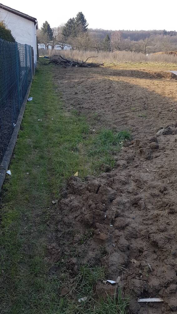 Grasstreifen links neben Zaun, rechter Erd- und Bodenbereich mit Baumreihen im Hintergrund
