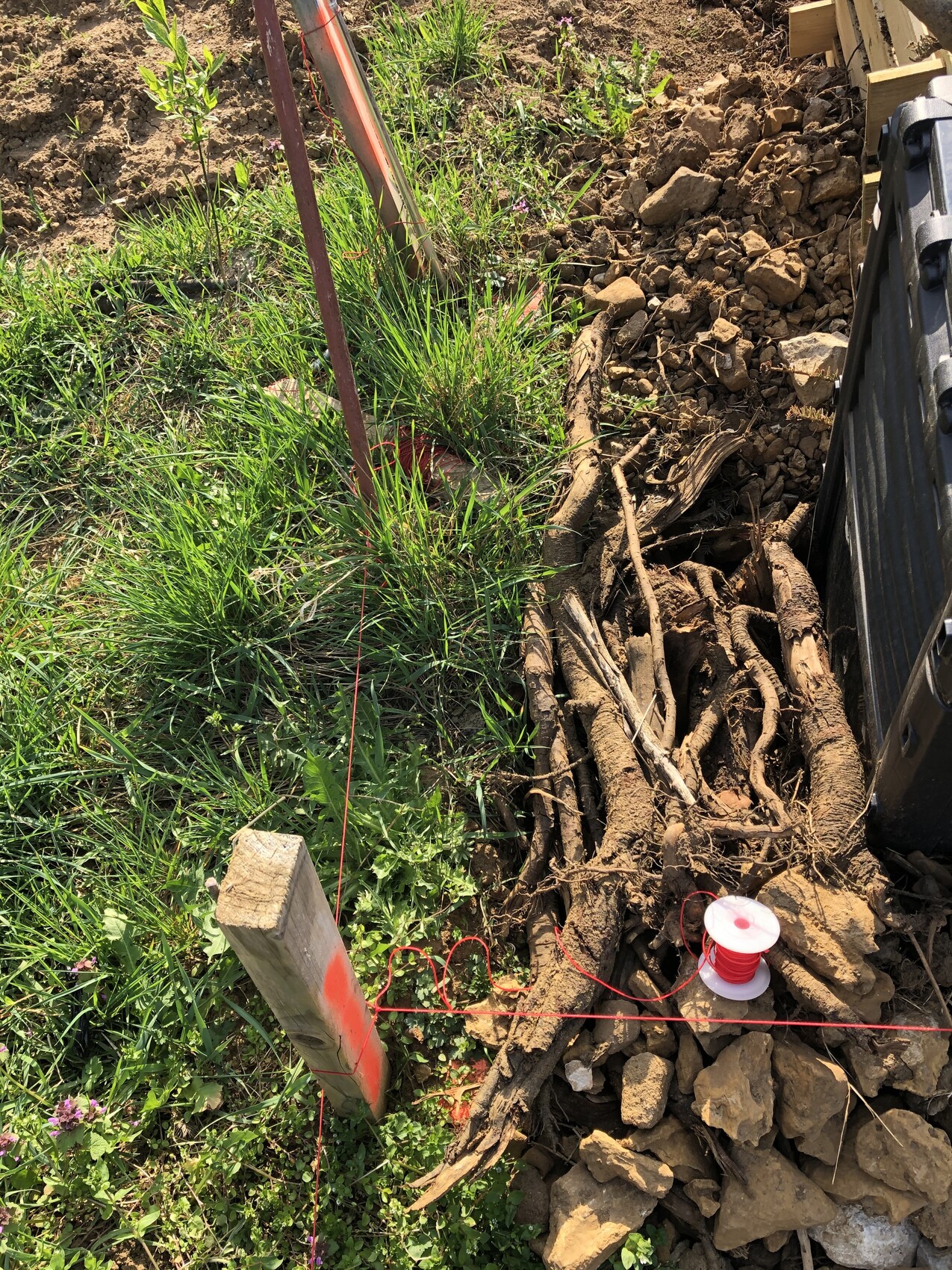 Gartenbau-Szene: freiliegende Wurzeln, Erde und Steine, rote Schnur-Spule, Holzpfosten und Gras.