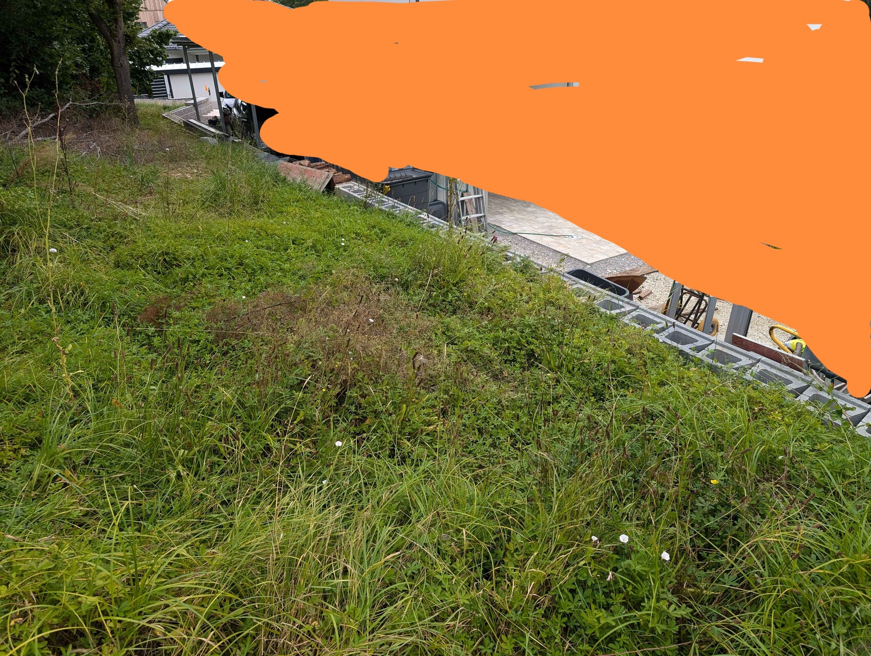Grüner Hang mit Gras, Wildblumen; Baugerätschaften und Treppen im Hintergrund.