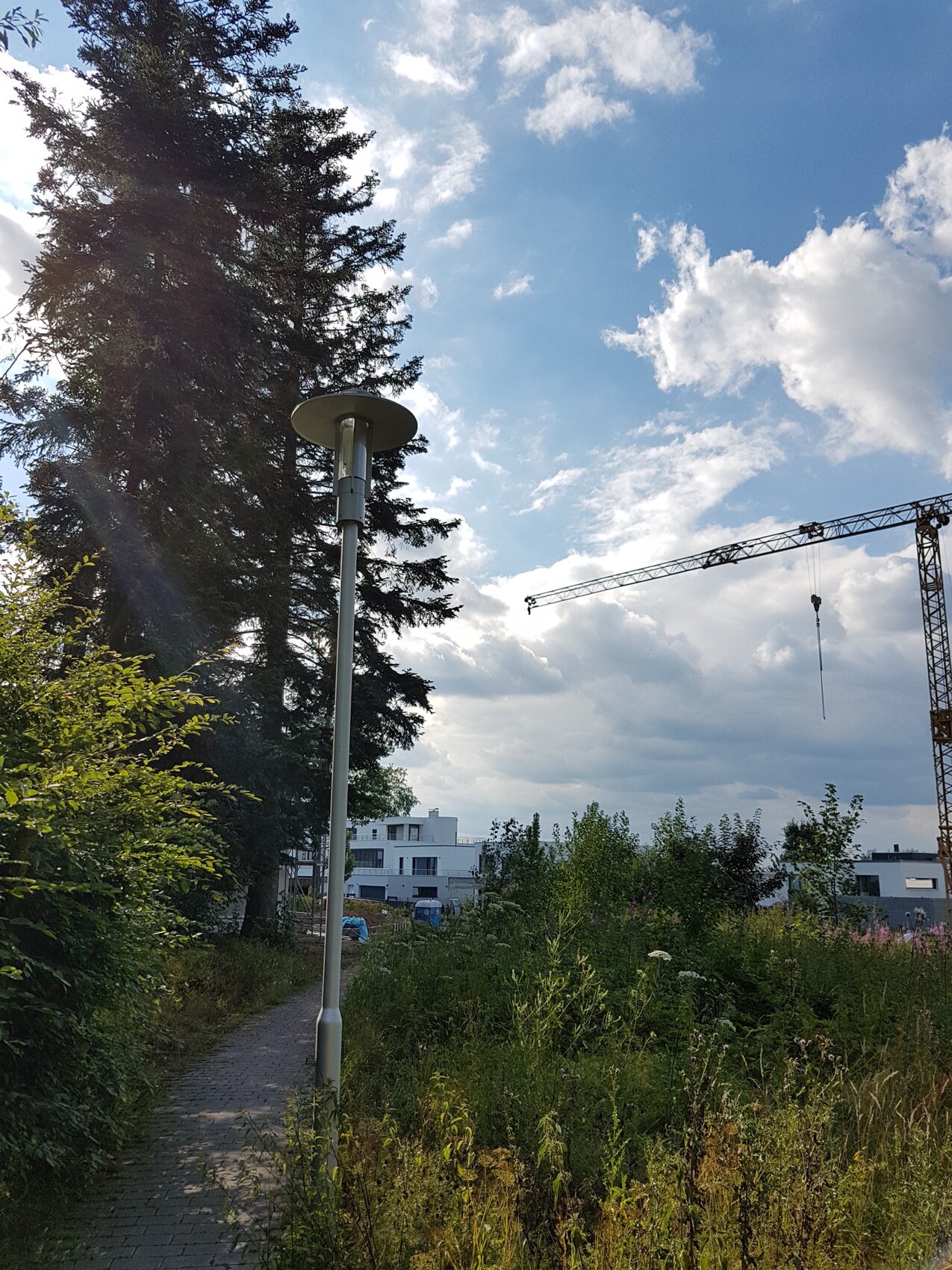Außenansicht einer Baustelle mit Kran, Baumgruppen und blauem Himmel