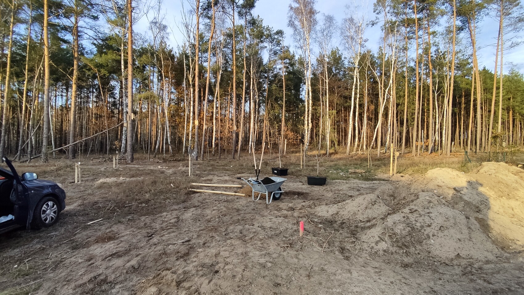 Baufläche im Wald: Schubkarre mit Schaufel, Holzstangen, zwei Behälter, Sandhügel, Bäume.