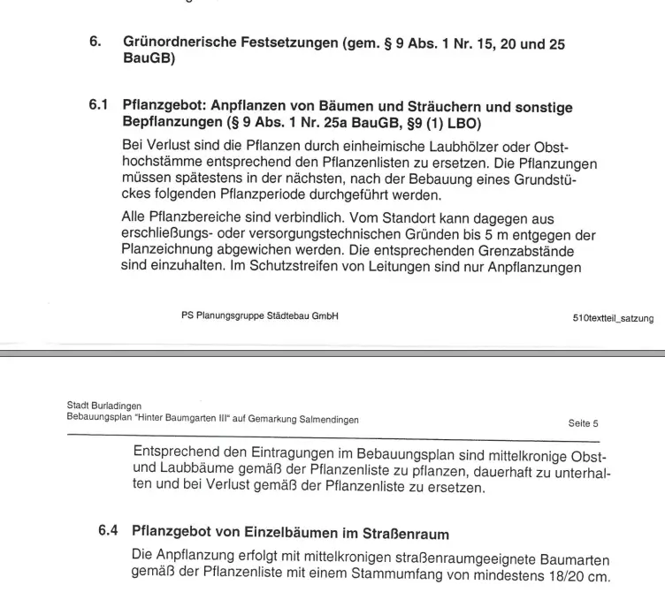 bebauungsplan-garage-auf-grenze-ausserhalb-baufenster-261388-2.PNG