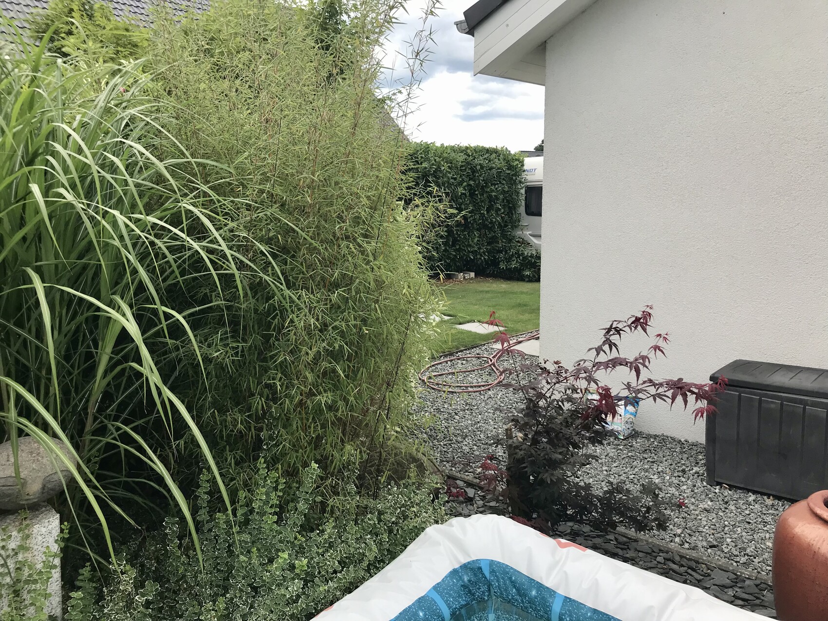 Gartenweg am Haus: dichter Bambus, roter Blätterstrauch, Planschbecken im Vordergrund.
