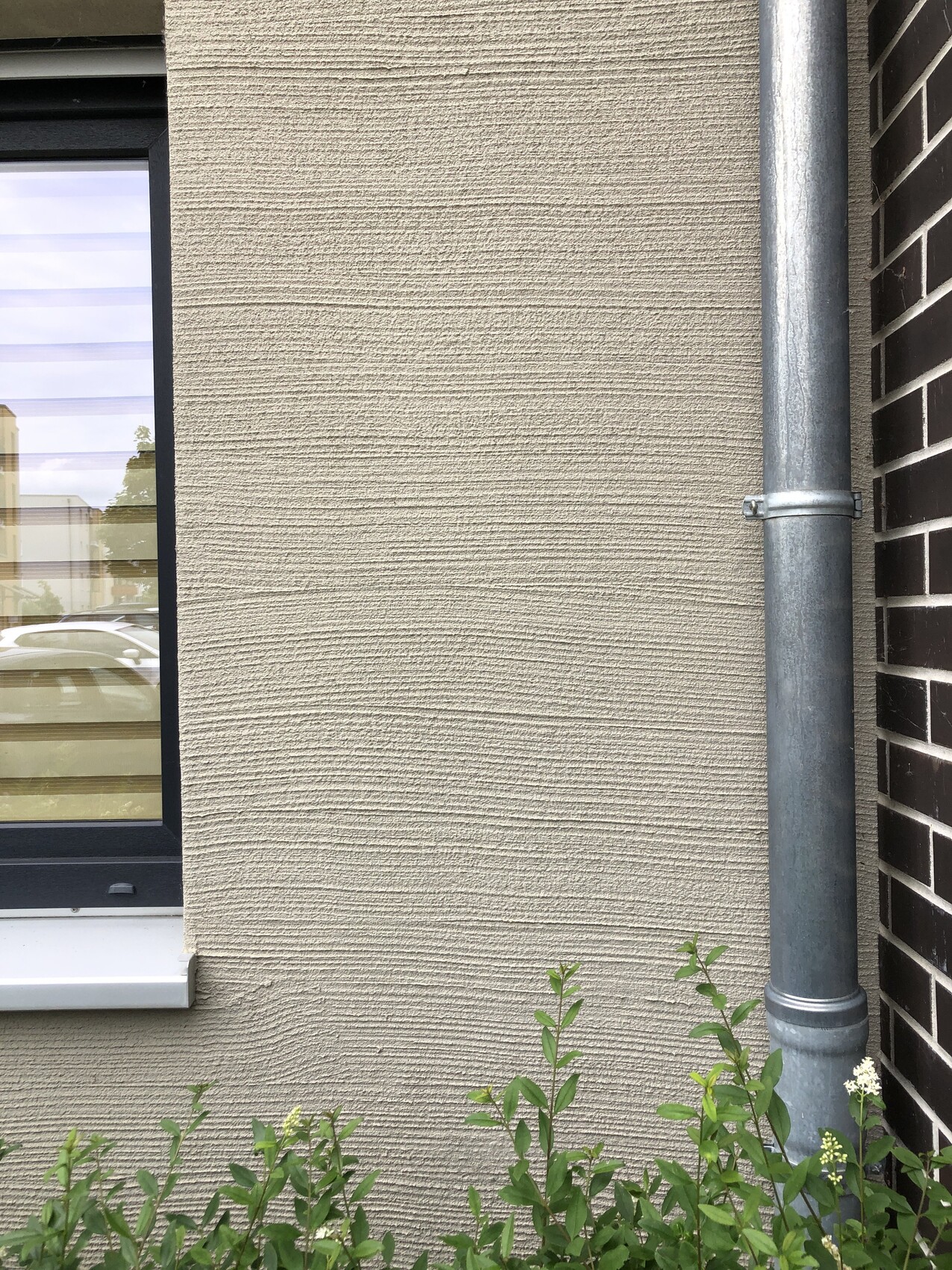 Beige Putzwand mit Fenster links, Metall-Regenrohr rechts und Pflanzen unten.