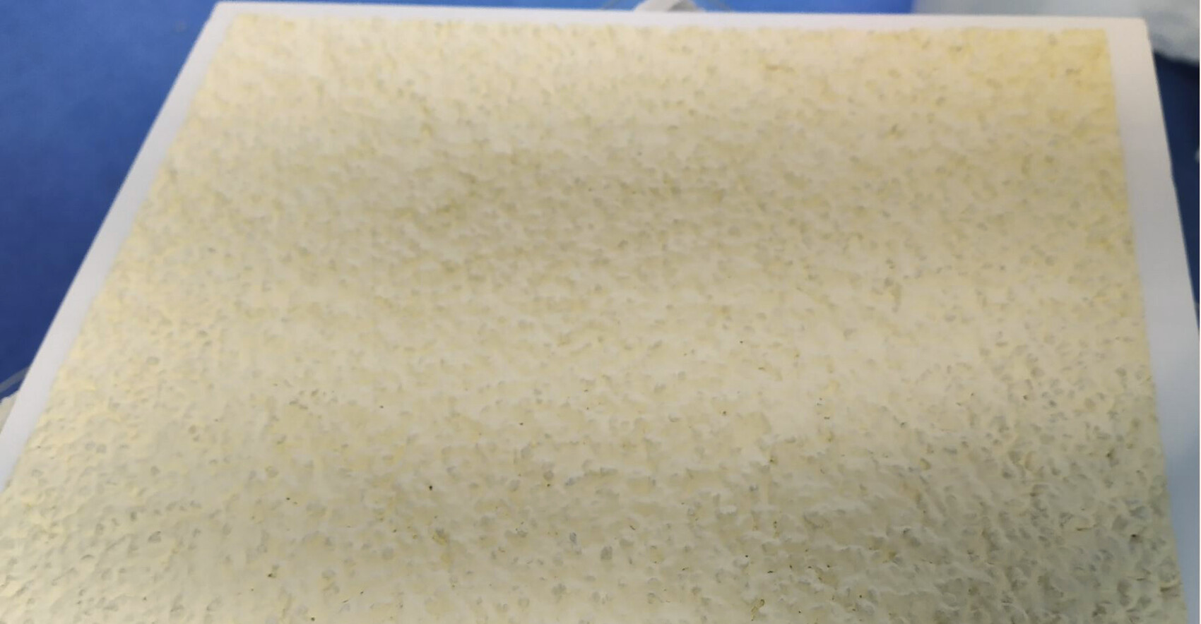 Gelb-beige, poröse Kuchenoberfläche auf Backpapier, flache Teigplatte.