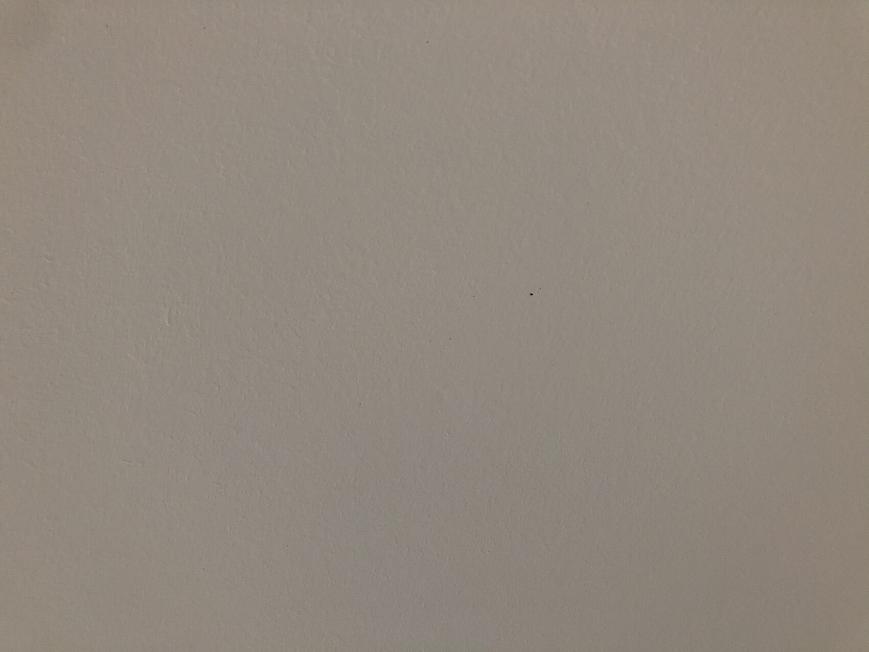 Beige Wand mit leichter Textur; kleiner schwarzer Punkt in der Bildmitte