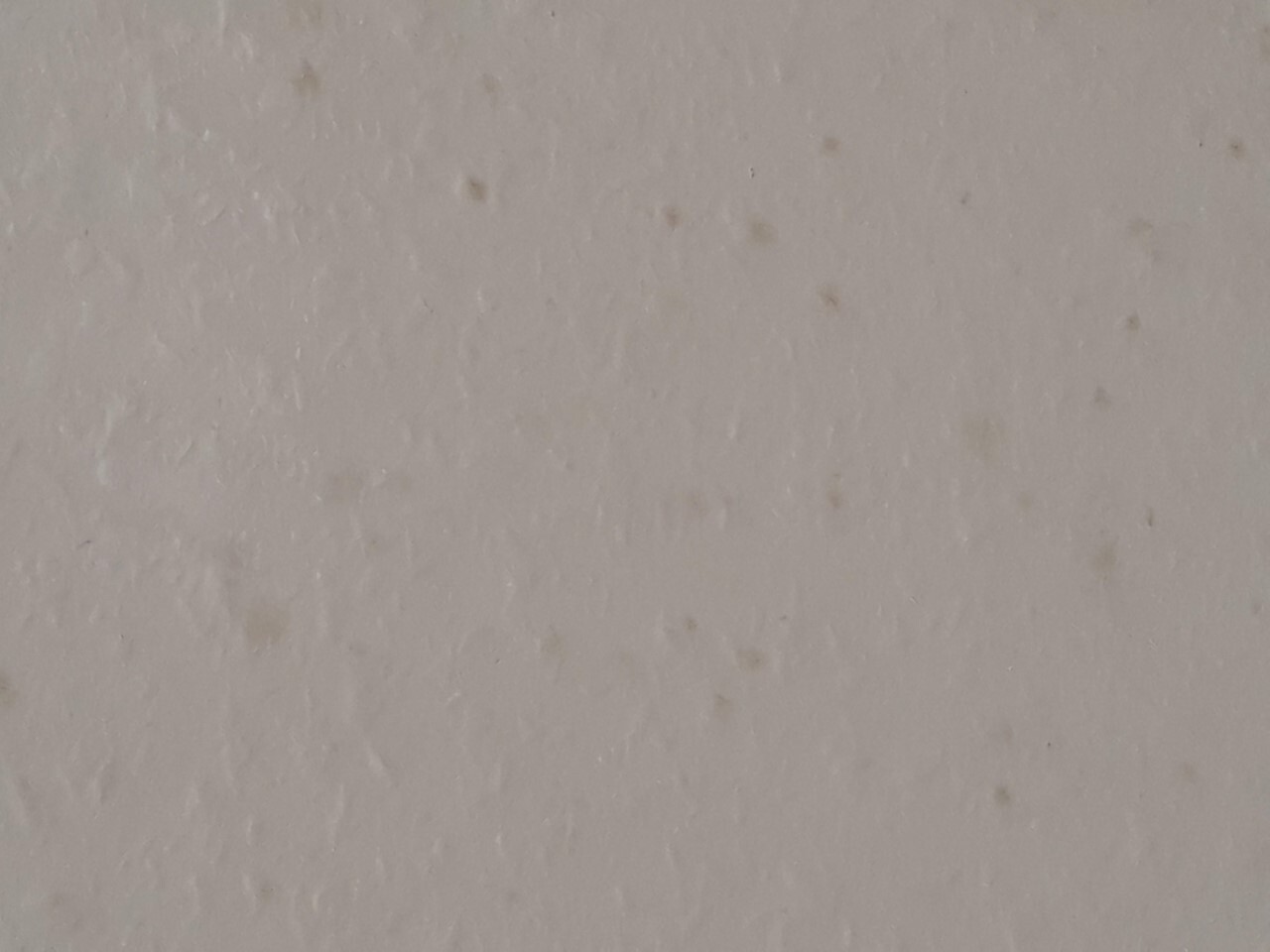 beige-wandoberflaeche-raue-textur-innenausbau.jpg