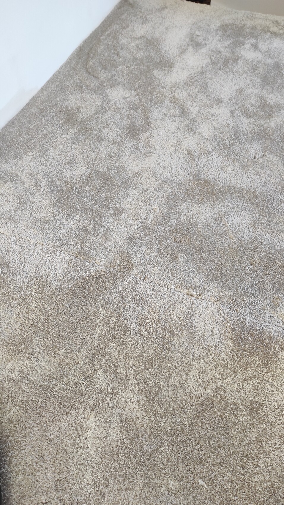 Nahaufnahme eines beigen Teppichbodens mit flauschigen Fasern.