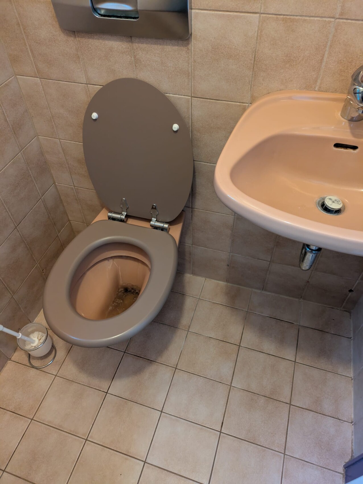 Beiger Sanitärraum: Toilette links mit offenem Deckel neben Waschbecken.