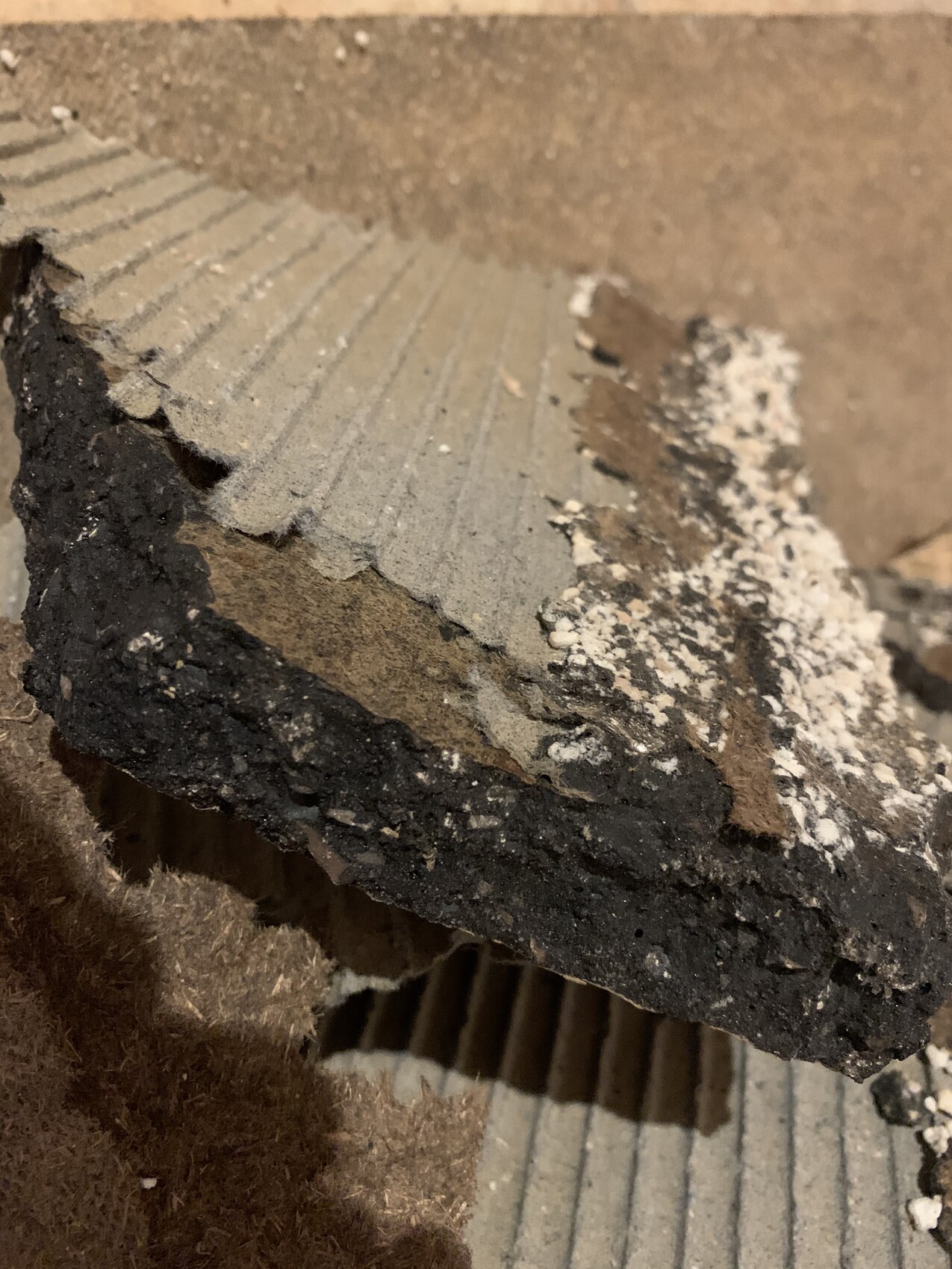 Zerbrochenes Betonstück mit grauer Oberfläche, brauner Zwischenschicht und schwarzer Kante.
