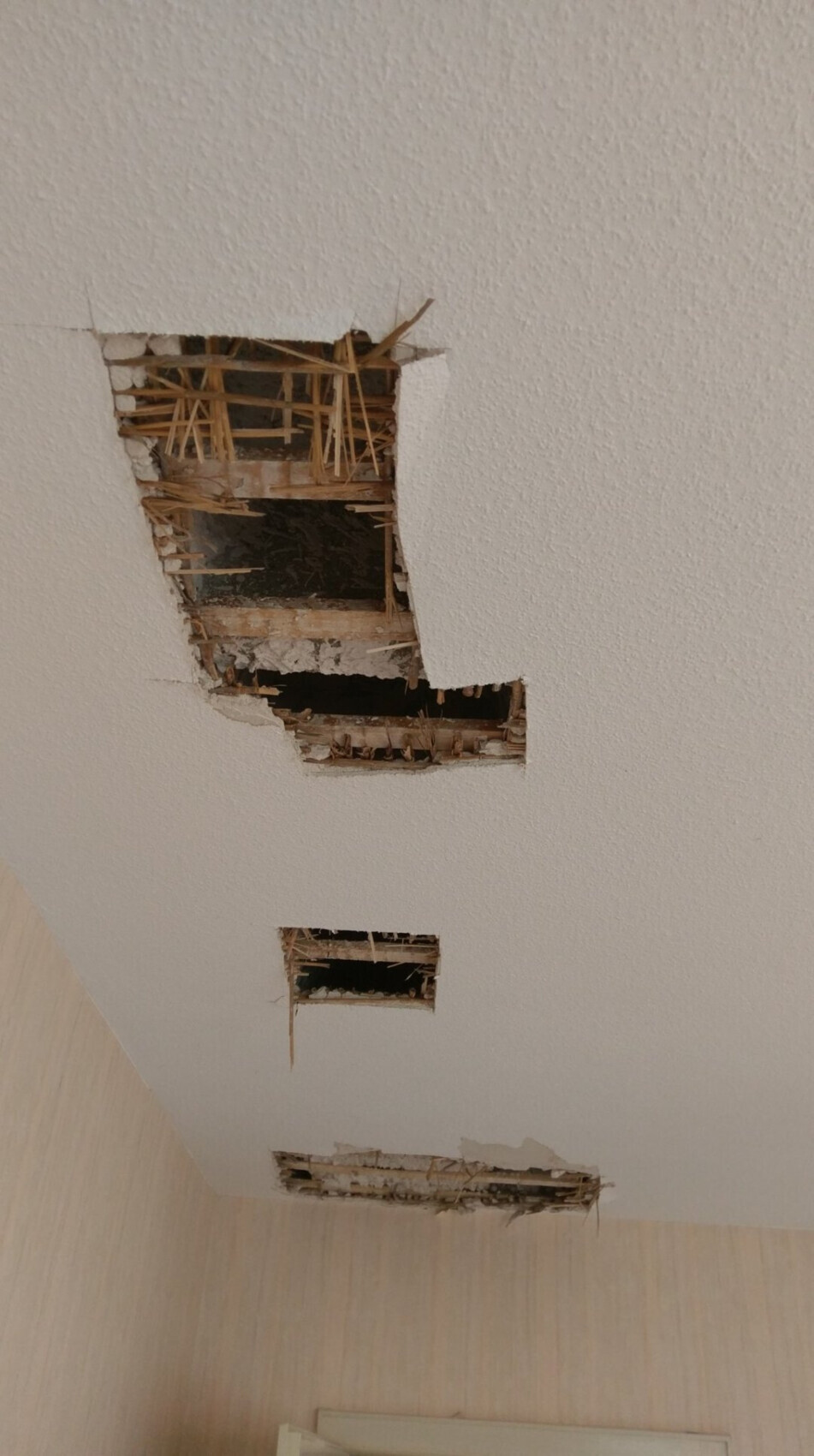 Decke mit mehreren Löchern, freiliegte Holzlatten und bröckelnder Putz.