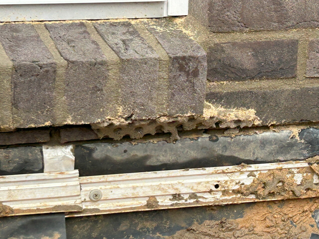 Nahaufnahme einer beschädigten Steinmauer mit bröckelndem Mörtel und Holzunterteil.