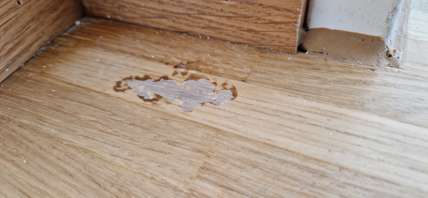 Holzboden mit abgeplatzter Lackierung nahe Türrahmen; sichtbare Holzmaserung.