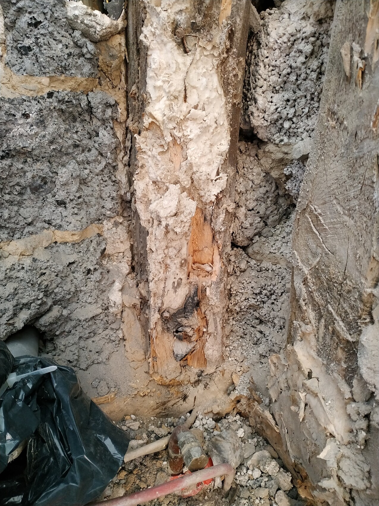 Freigelegter Holzträger in bröckelndem Beton, umgeben von Schutt auf einer Baustelle.