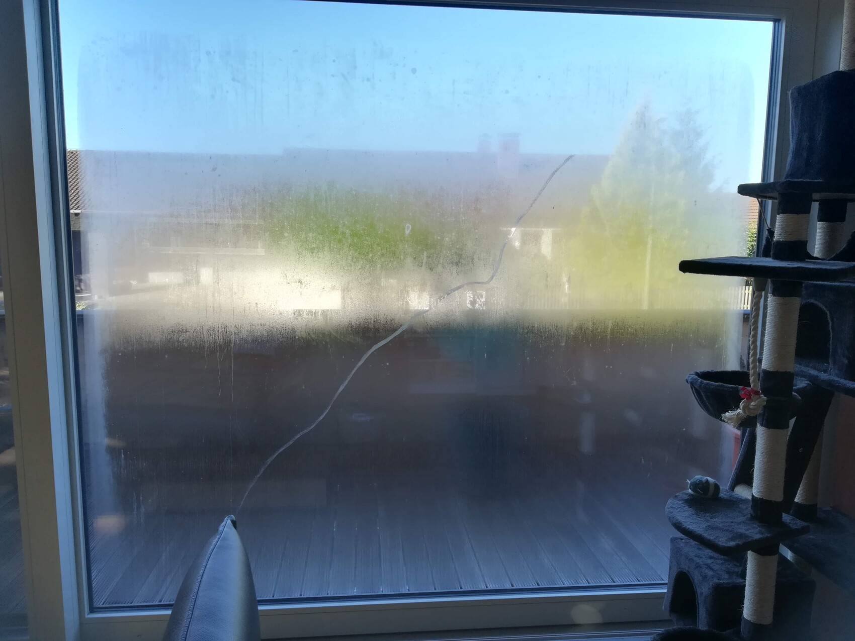 Verschmutztes Fenster mit Kondensation; Blick auf Garten draußen, rechts innen steht ein Katzenturm.