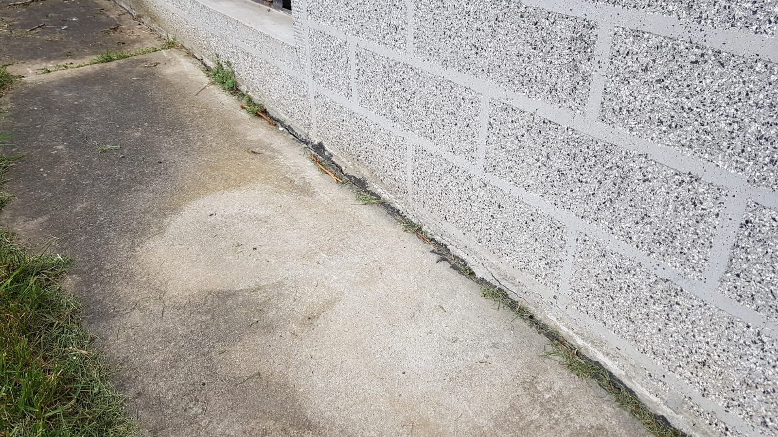 Gehweg neben grauer Betonwand; großer runder Feuchtefleck, dunkle Verfärbung, Gras am Rand.
