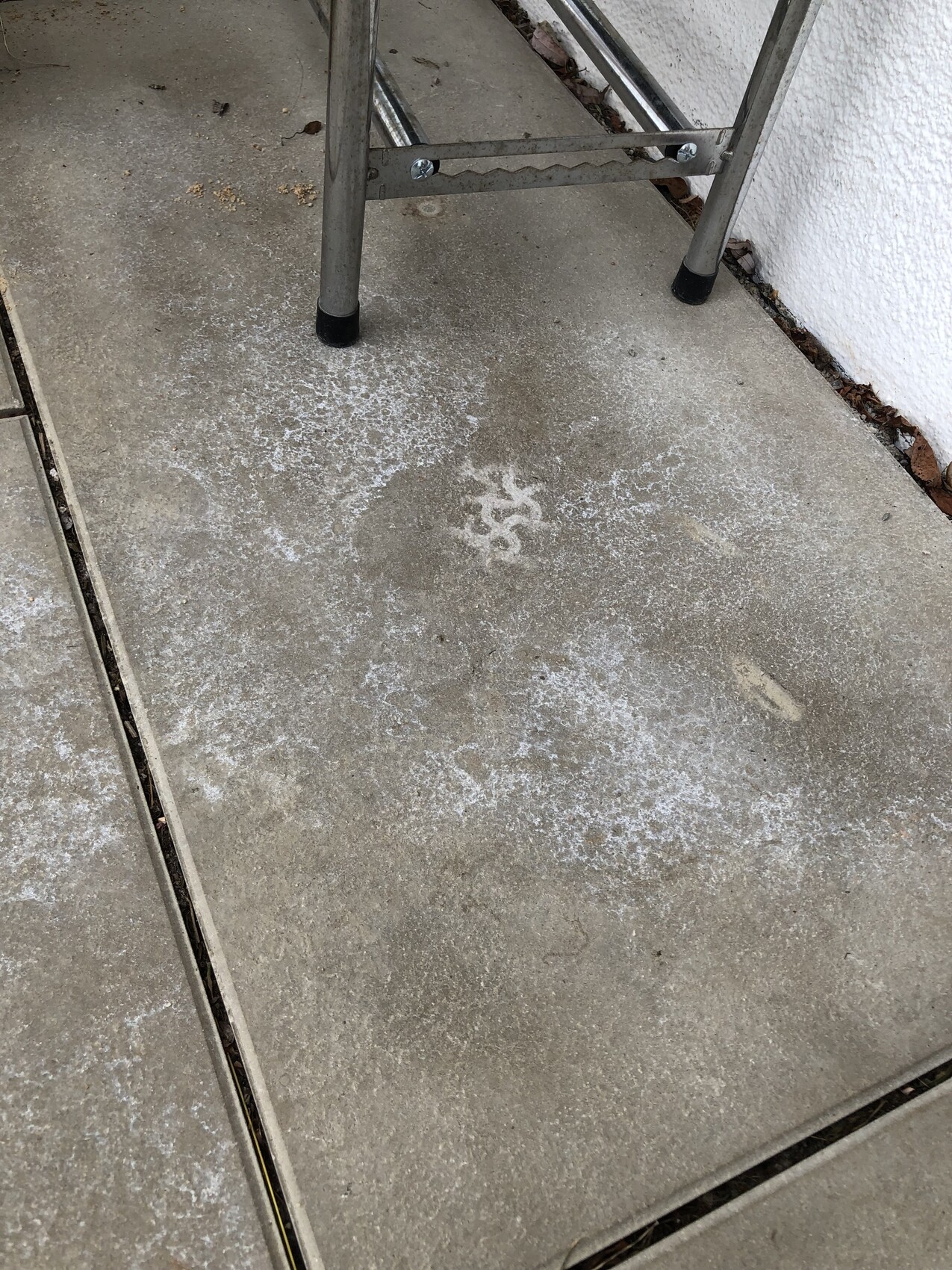 Metallstehleiter steht auf Betonboden vor weißer Wand; Kalkflecken bedecken die Fläche.