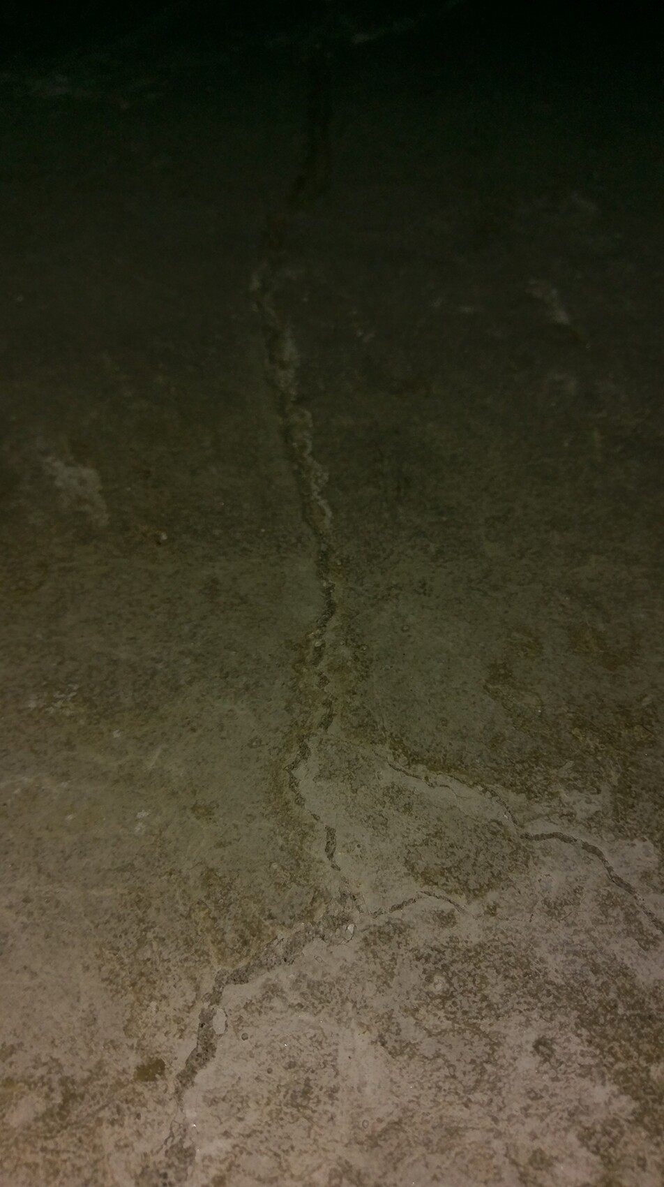 Dunkler Betonboden mit Rissen und Feuchtigkeit im Keller