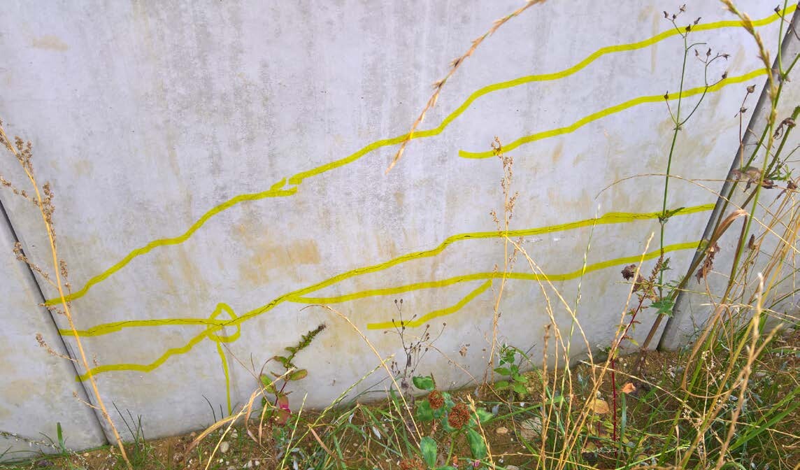 Betonwand mit gelben Markierlinien und Unkraut im Vordergrund.