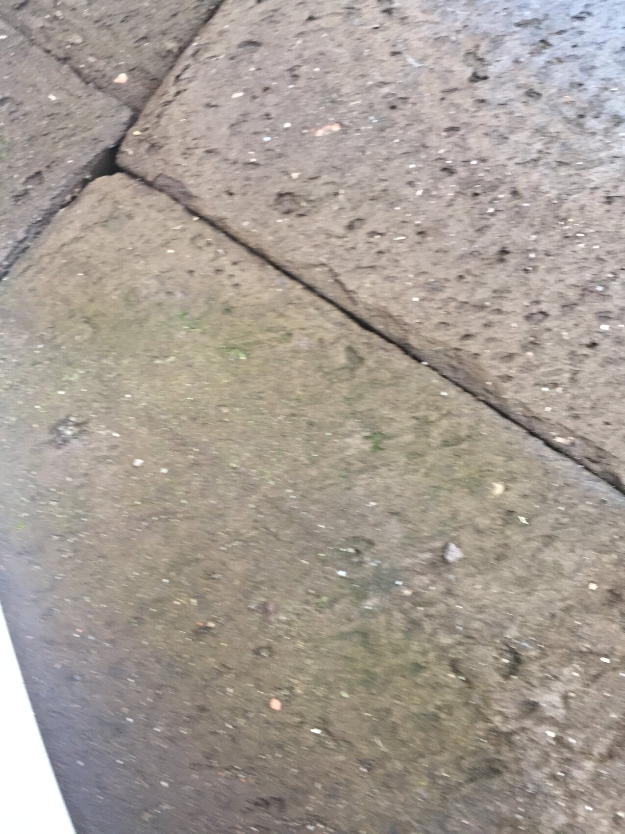 Nahaufnahme eines grauen Gehwegs aus Steinplatten mit Rissfuge und Moos am Rand.