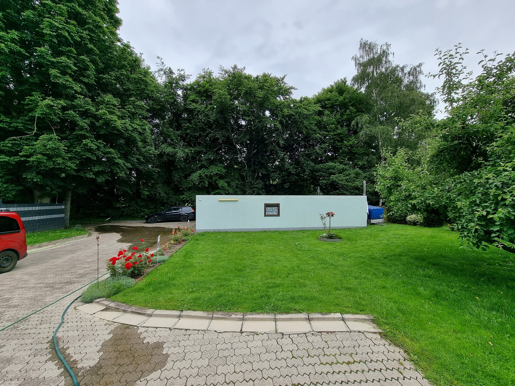 Grüner Rasen, hellblauer Baucontainer, Gartenweg, rote Rosenbeete, Baumreihe im Hintergrund.