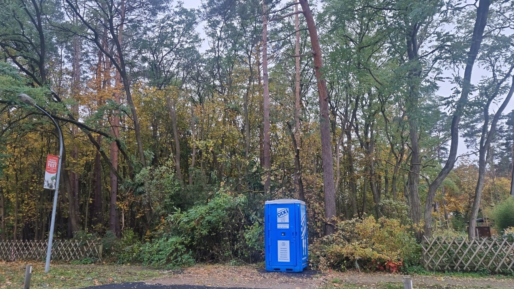 Blaue Dixi-Portable-Toilette im Park vor Wald mit Herbstlaub auf dem Boden.
