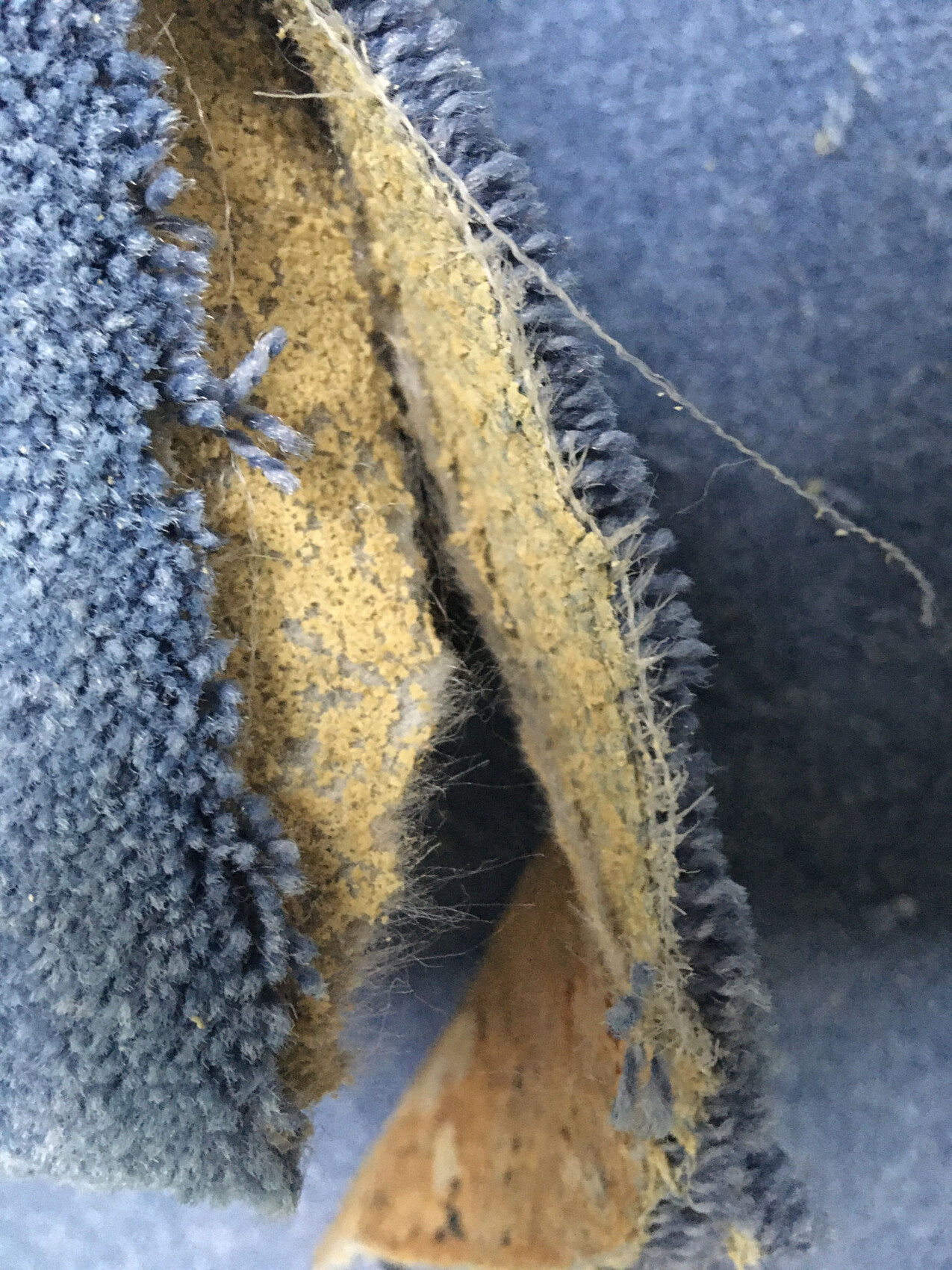 Nahaufnahme eines abgenutzten blauen Plüschstoffes mit braunem Innenmaterial und Fäden.