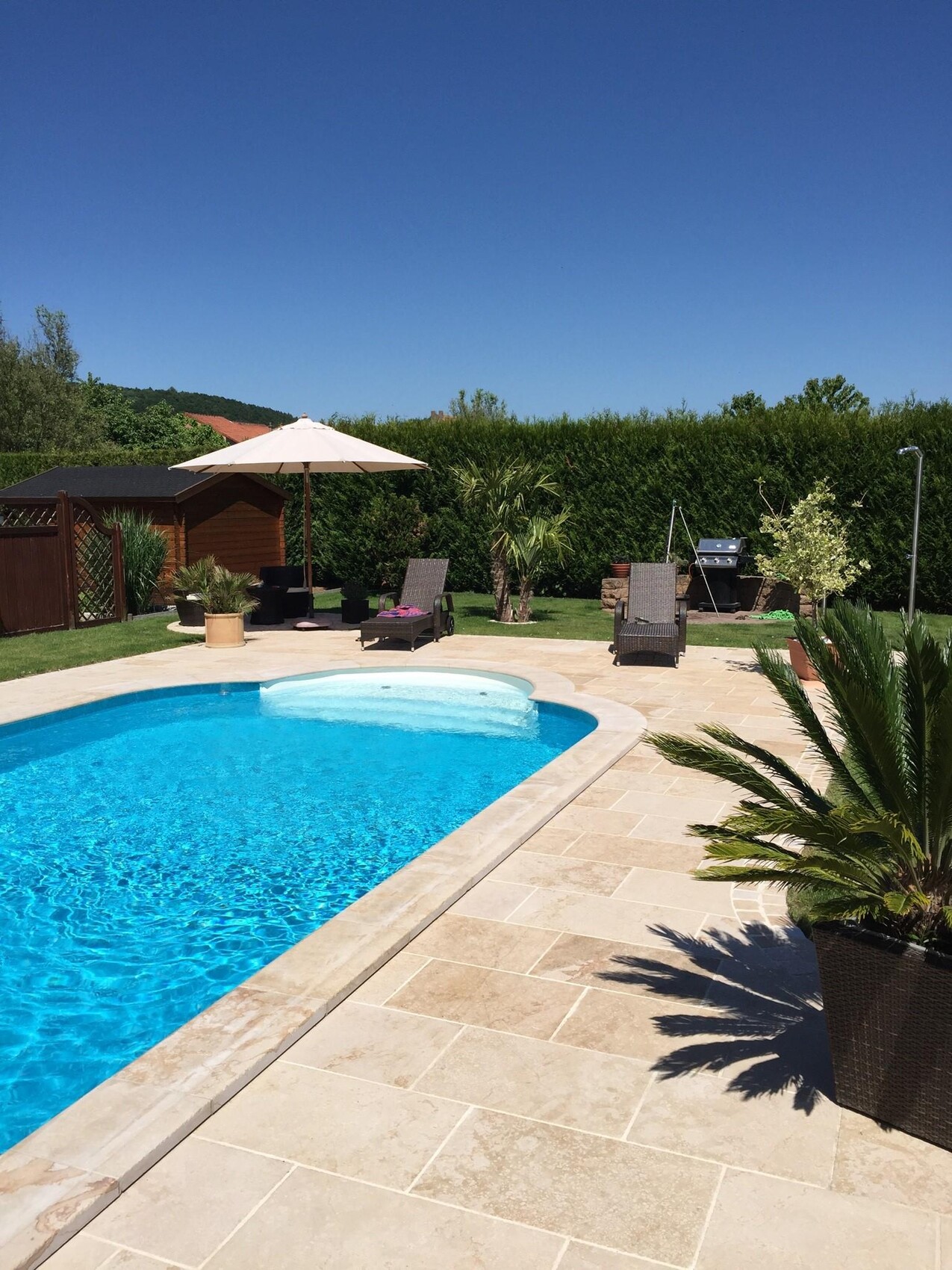 Garten mit blauem Pool, Lounge-Stühlen, Sonnenschirm, Grill, Hecke und Palmenpflanzen.
