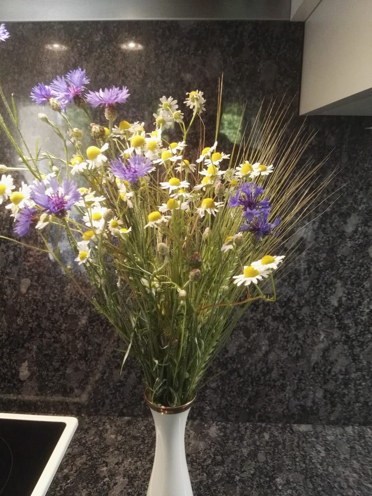 Blumenstrauß aus weißen Gänseblümchen und violetten Kornblumen in einer Vase vor dunkler Küchenwand.