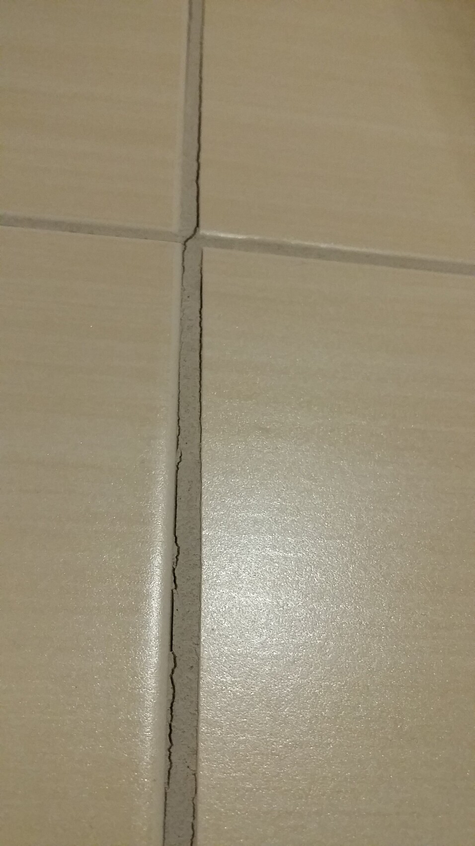 Nahaufnahme einer Fliesenfuge im Boden mit Riss