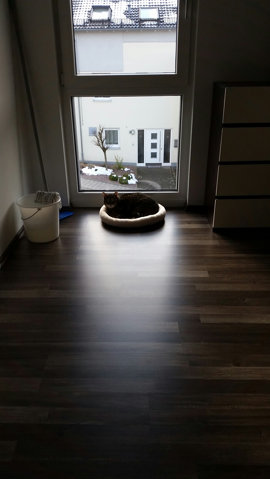 bodentiefe-fenster-warum-bodentiefe-fenster-vor-nachteile-278893-1.jpg