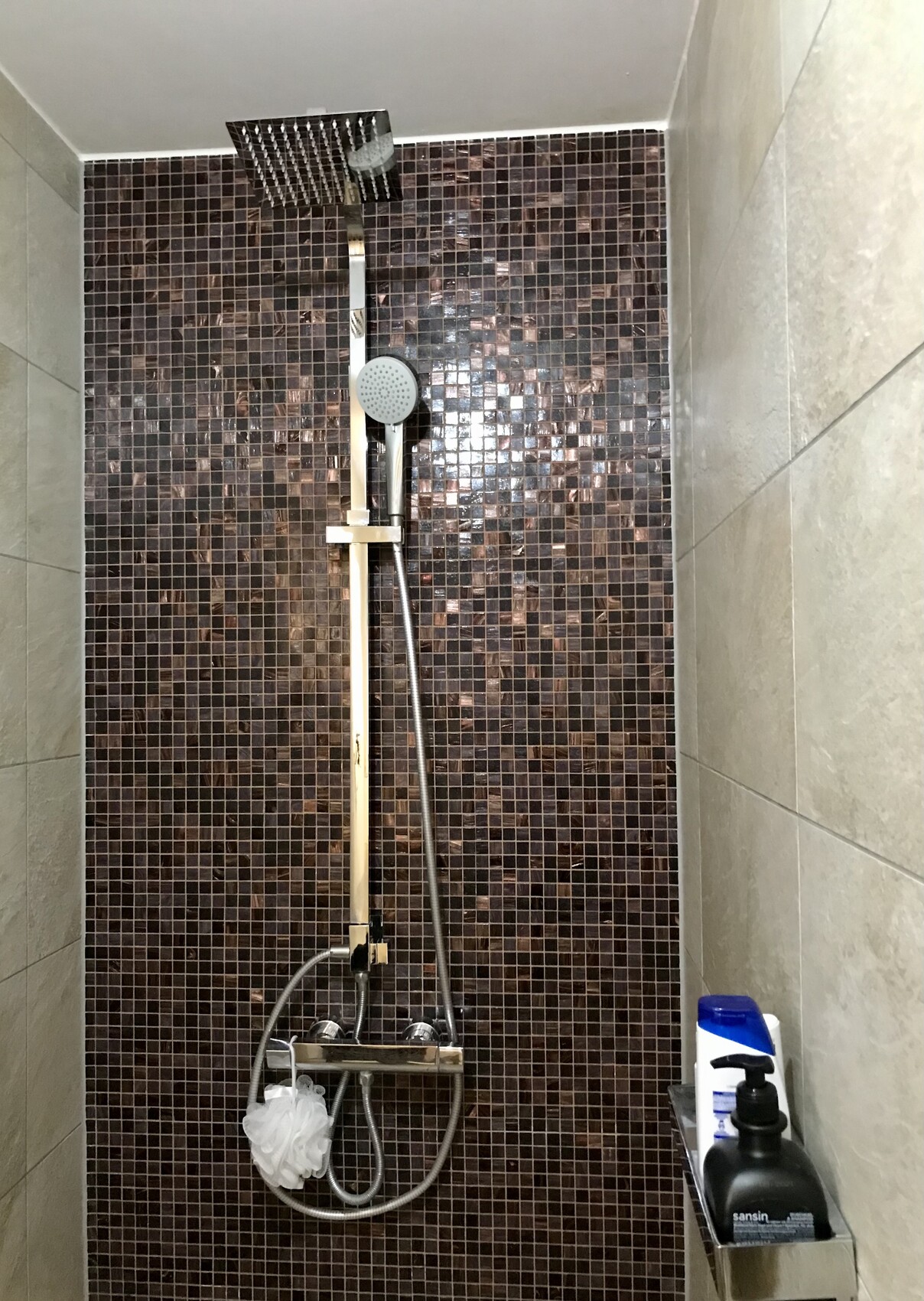 Duschbereich mit dunklen Mosaikfliesen, großer quadratischer Regenkopf und Handbrause.