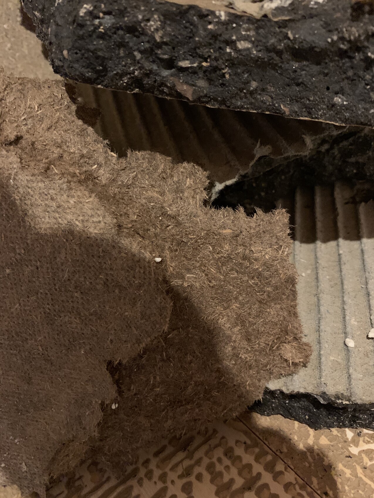 Dunkelbraune Kokosfaser-Isolierung liegt zwischen rauen Betonplatten.