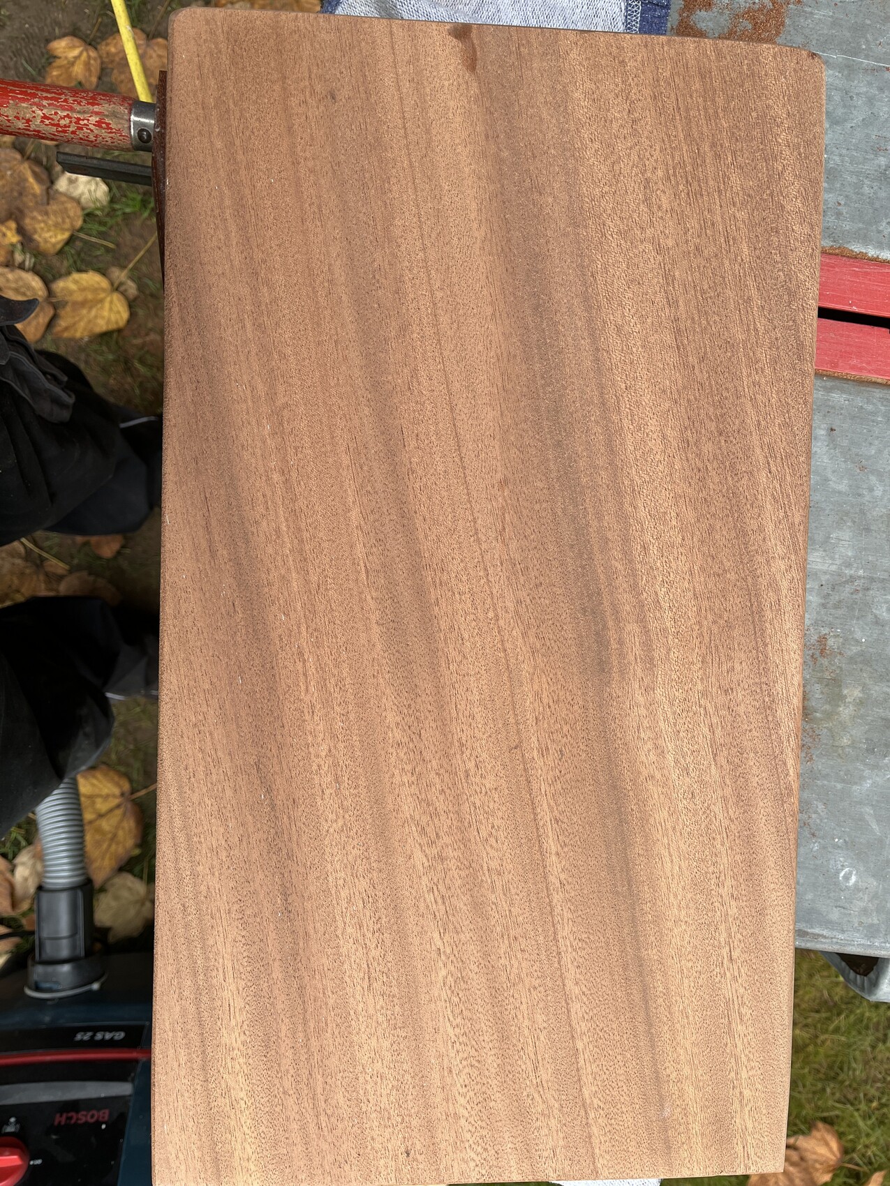 Holzplatte mit Maserung liegt auf einer Werkbank im Freien, umgeben von Herbstlaub.