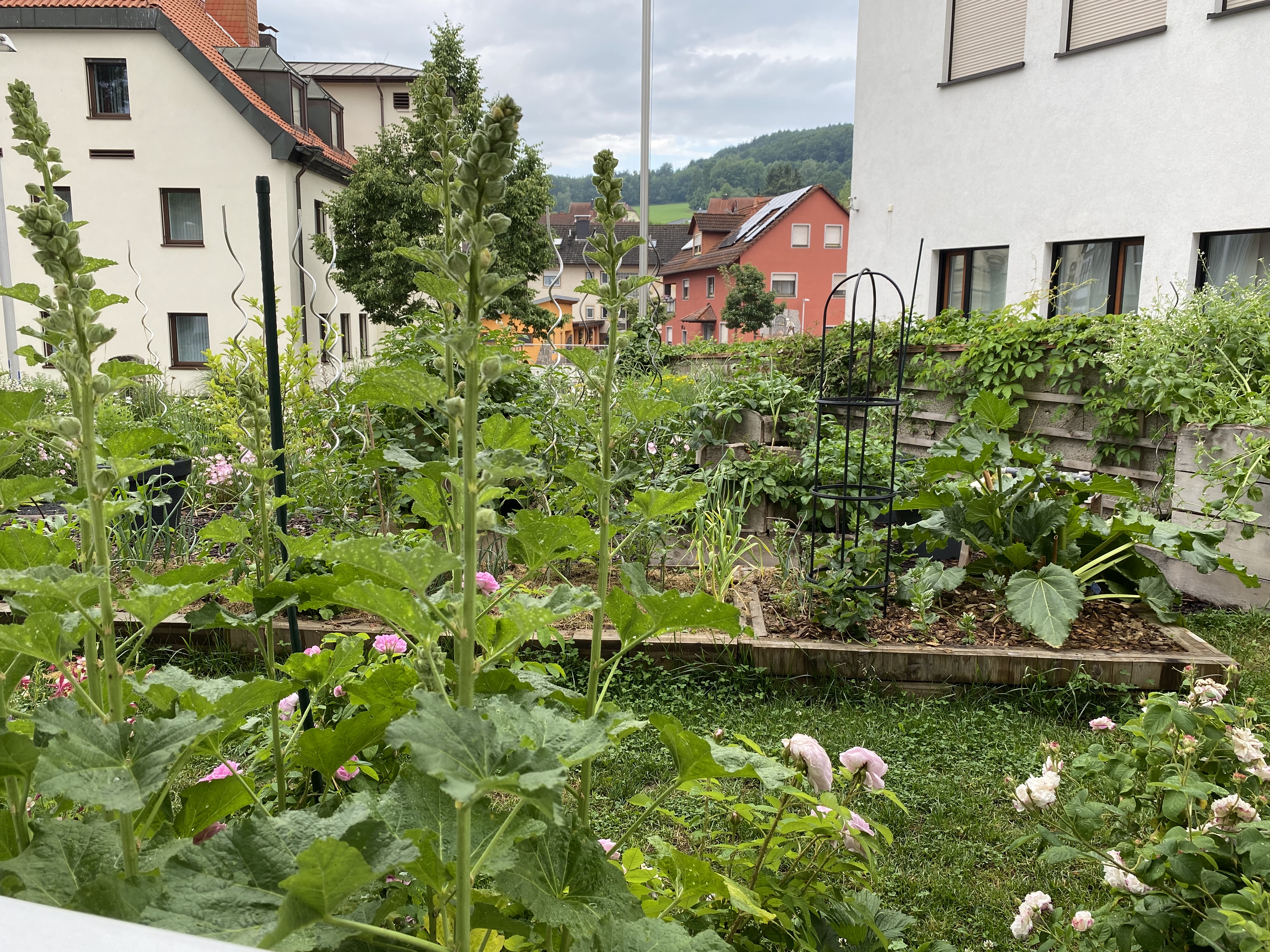 brunnen-fuer-gartenbewaesserung-idee-verbessern-bitte-input-505314-1.jpeg