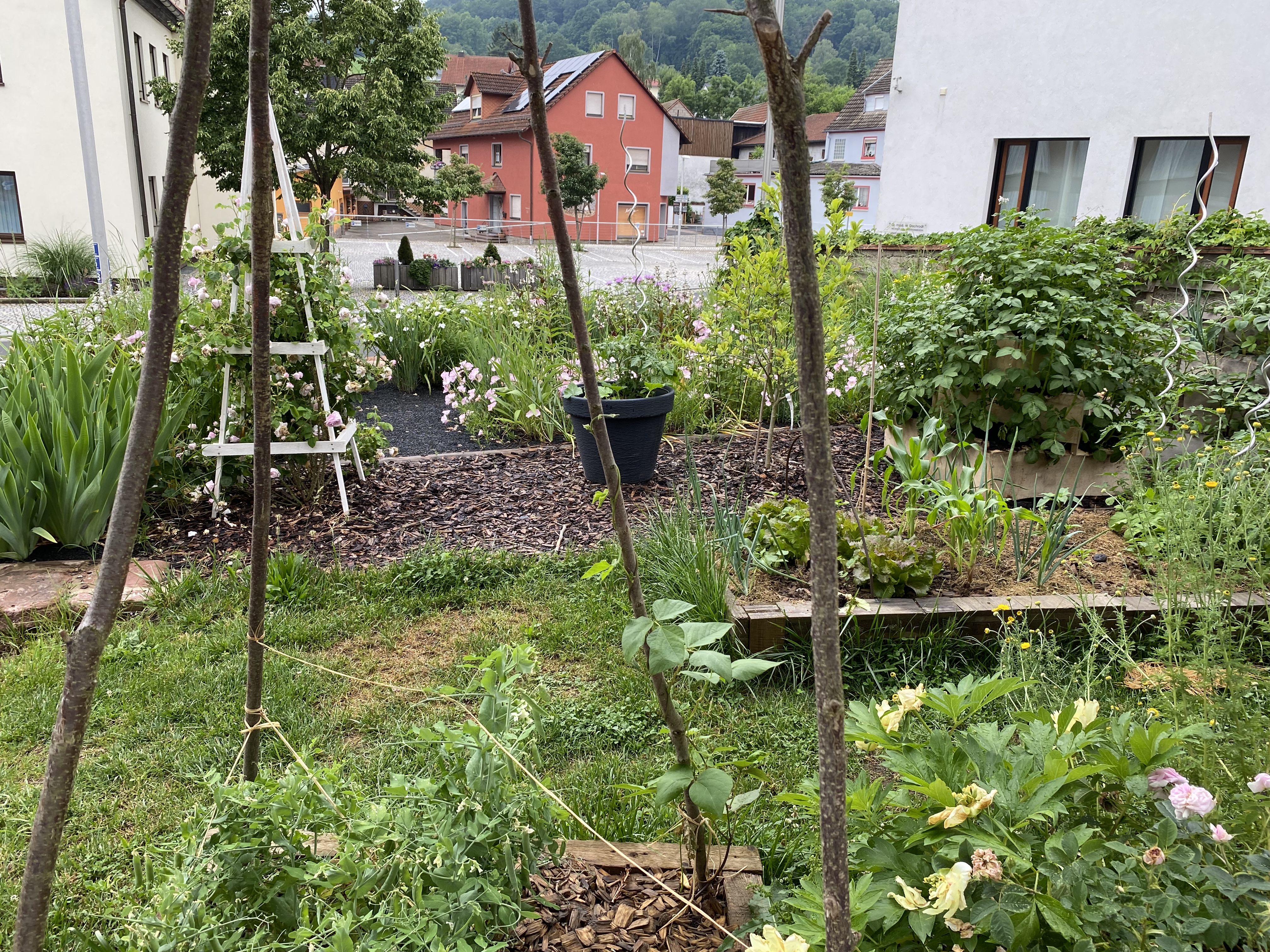 brunnen-fuer-gartenbewaesserung-idee-verbessern-bitte-input-505314-2.jpeg